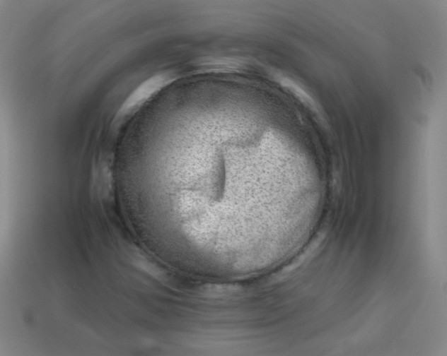 X0000113591354200910091451