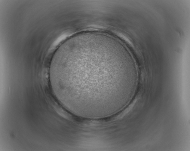 X0000113591355200910091451