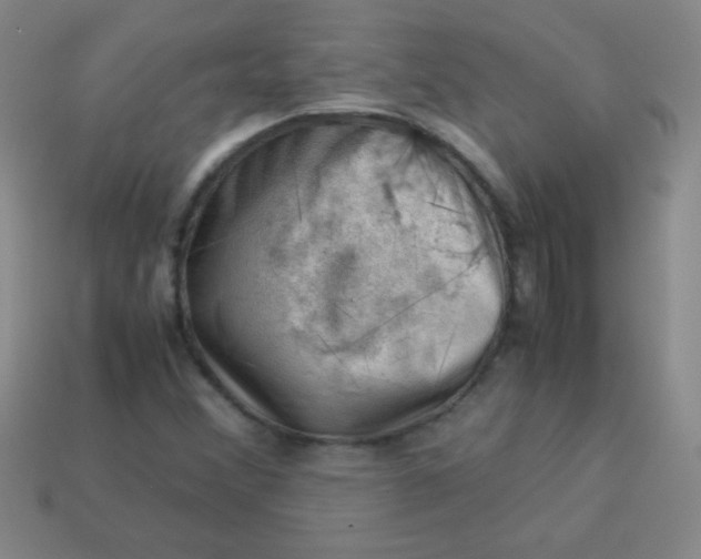 X0000113591356200910091451