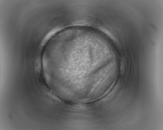 X0000113591358200910091451