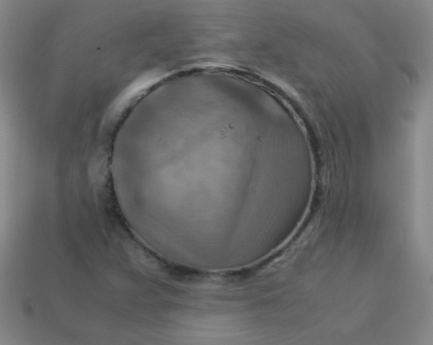 X0000113591359200910091451