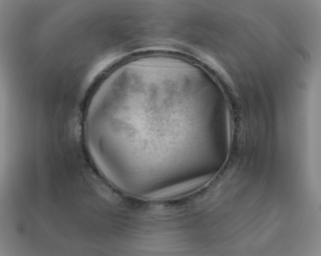 X0000113591360200910091451