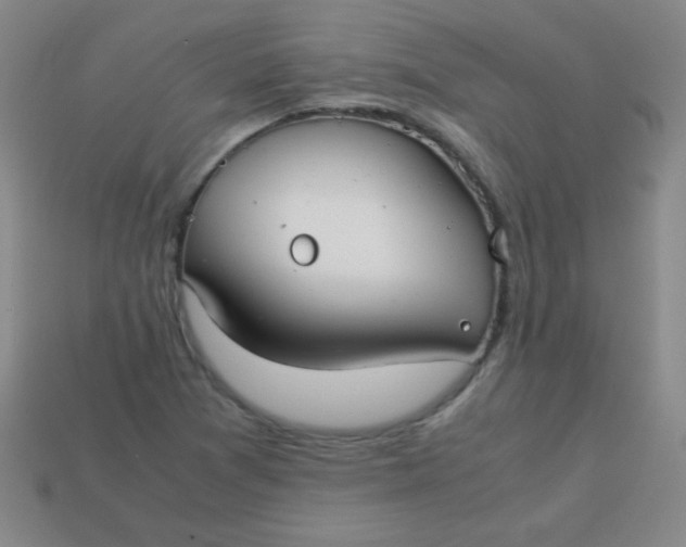 X0000113591361200910091451