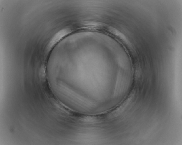 X0000113591362200910091451