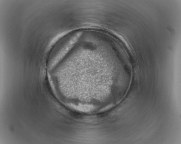 X0000113591363200910091451