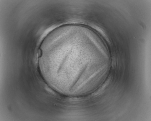 X0000113591366200910091451