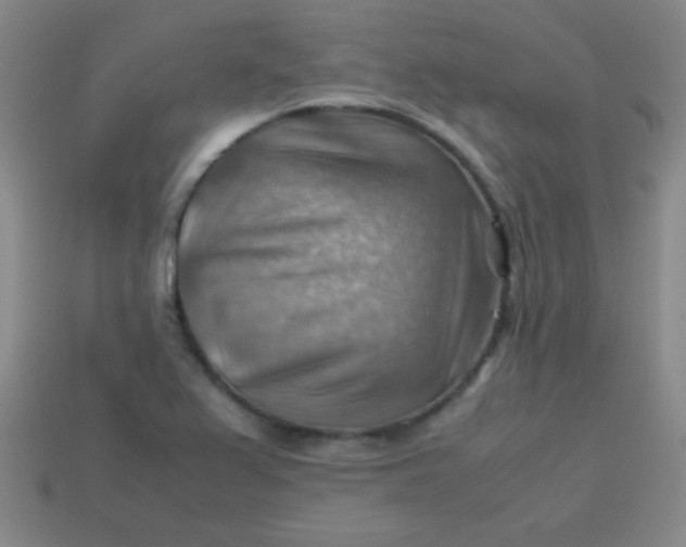 X0000113591367200910091451