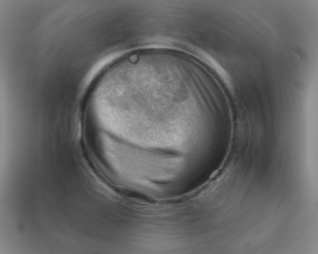 X0000113591368200910091451