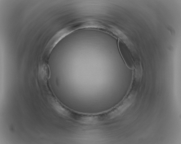 X0000113591369200910091451