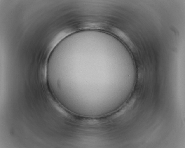 X0000113591370200910091450