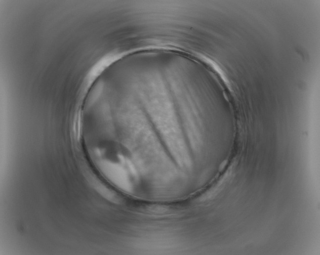 X0000113591371200910091450