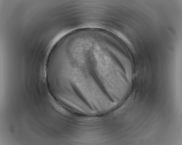 X0000113591372200910091450