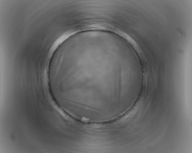 X0000113591373200910091450