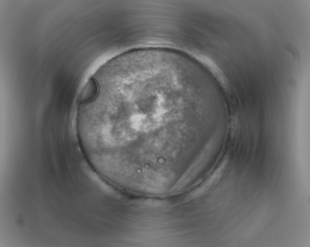 X0000113591374200910091450