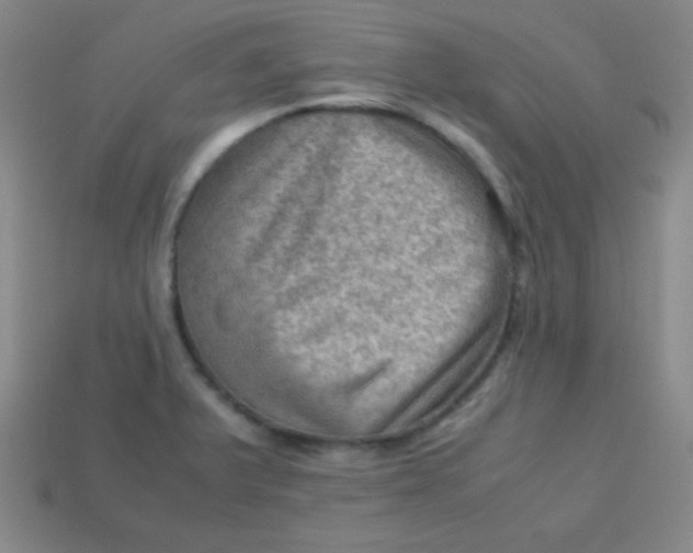 X0000113591375200910091450