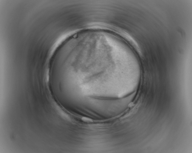 X0000113591376200910091450