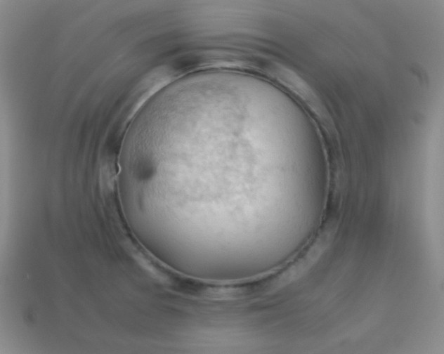 X0000113591377200910091450