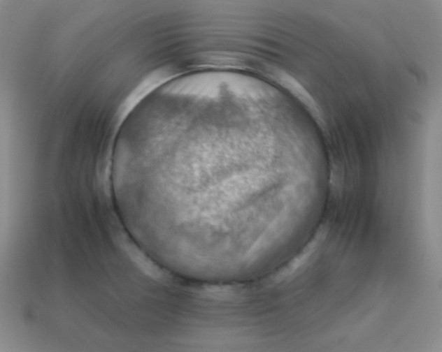 X0000113591378200910091450