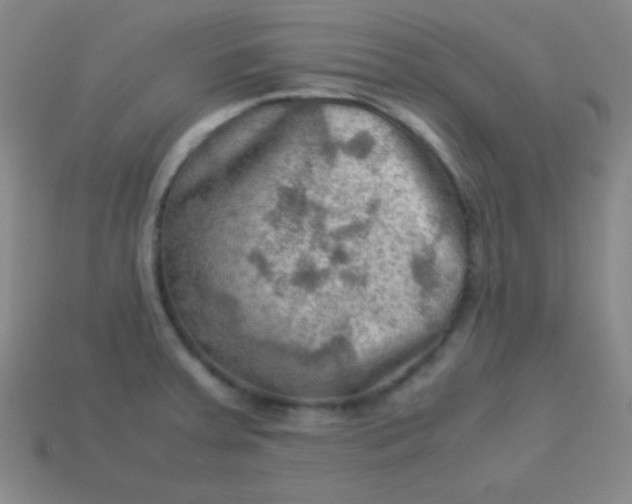 X0000113591379200910091450