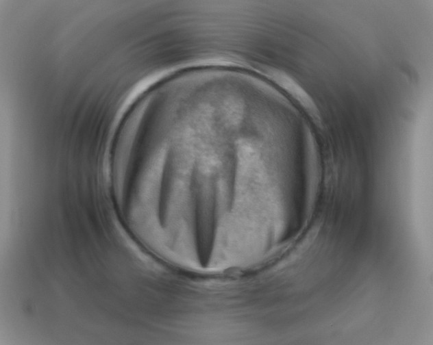 X0000113591380200910091450