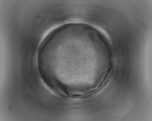 X0000113591382200910091450