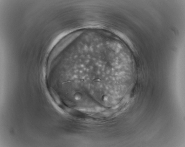 X0000113591383200910091450