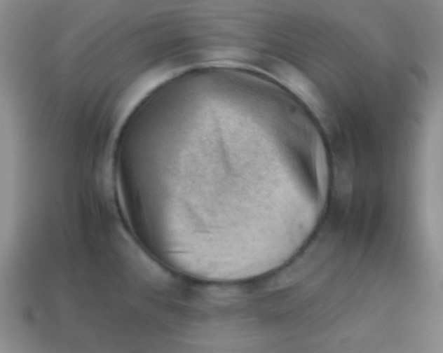 X0000113591384200910091450