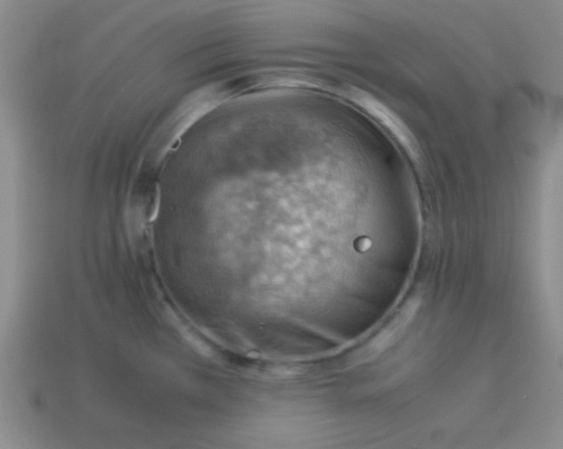 X0000113591385200910091450