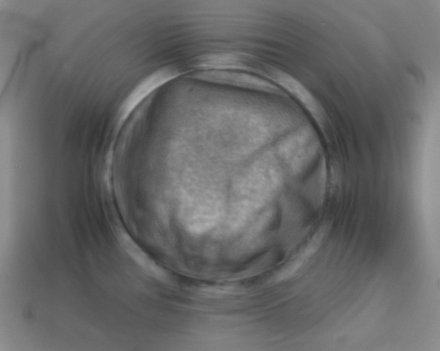 X0000113591386200910091450