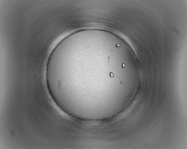 X0000113591387200910091450