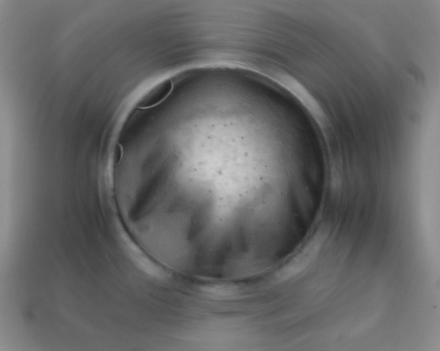 X0000113591388200910091450