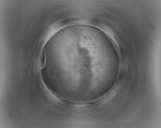 X0000113591389200910091450