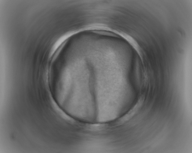 X0000113591390200910091450