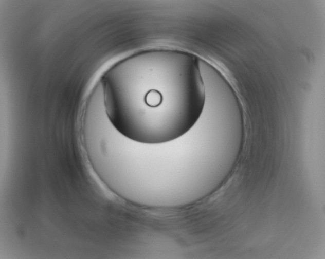 X0000113591392200910091450