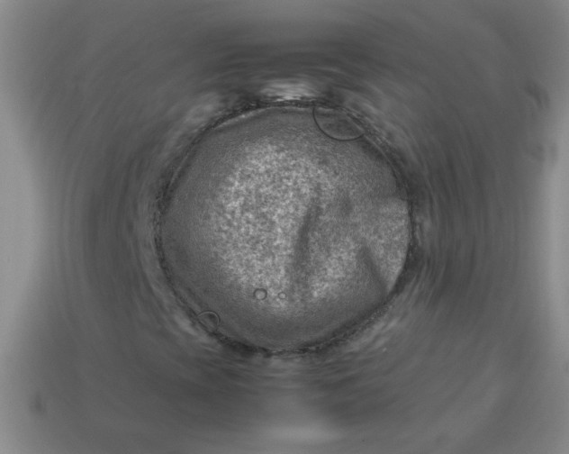 X0000113591393200910091449