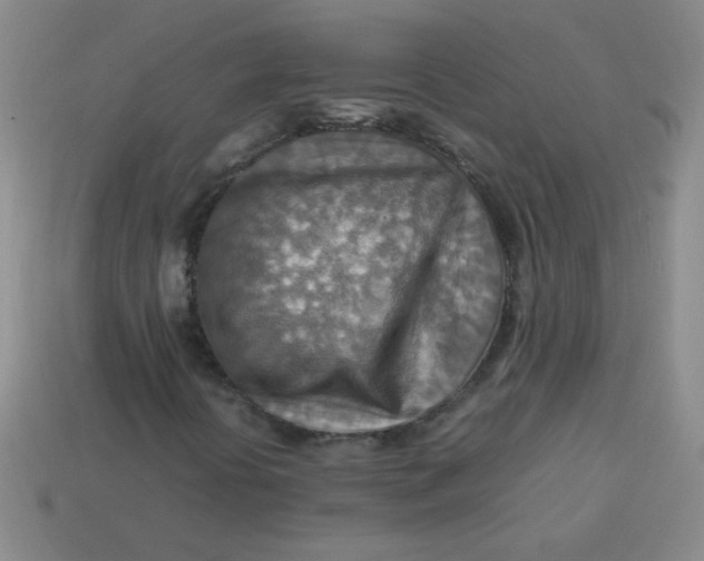 X0000113591394200910091449