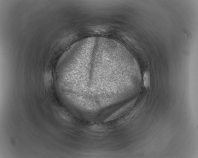 X0000113591395200910091449