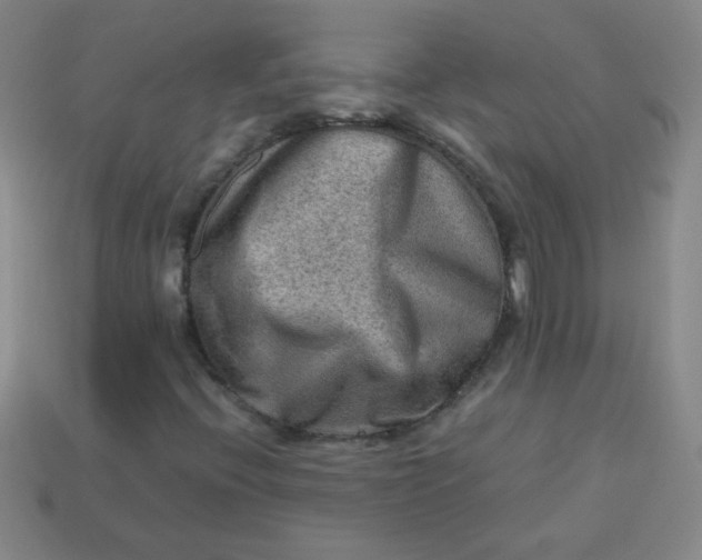 X0000113591396200910091449