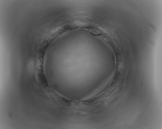 X0000113591397200910091449