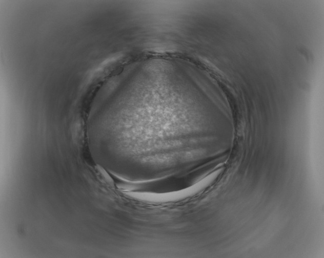 X0000113591398200910091449