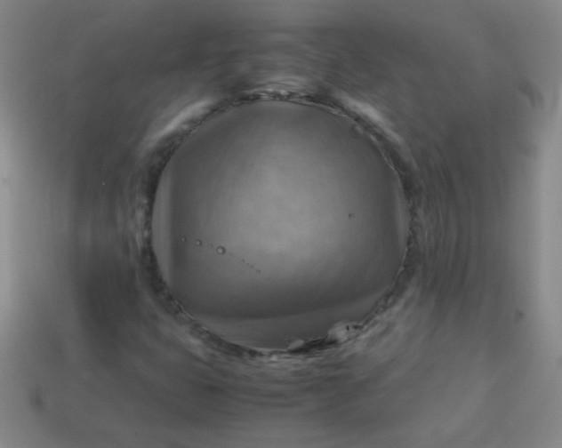 X0000113591399200910091449