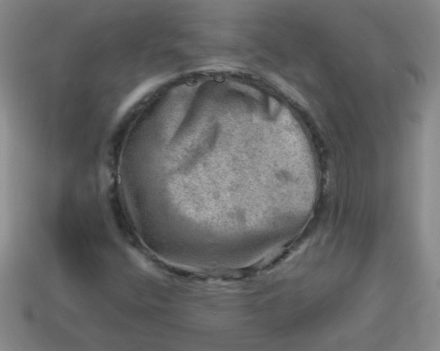 X0000113591400200910091449