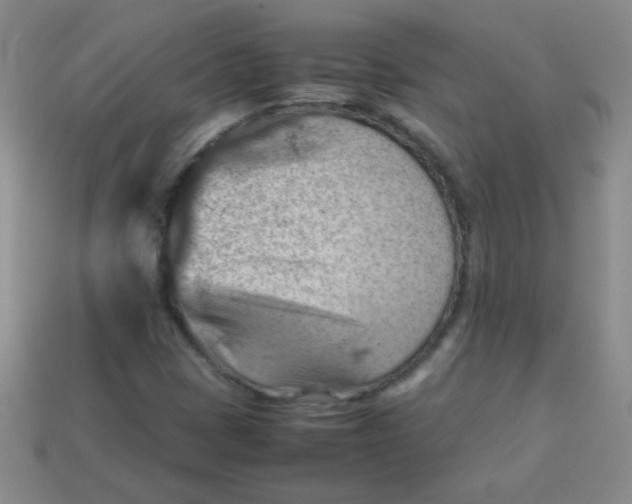 X0000113591401200910091449