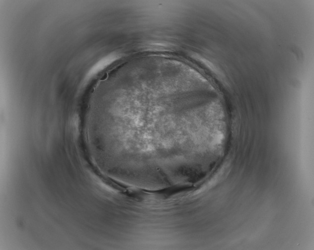 X0000113591402200910091449