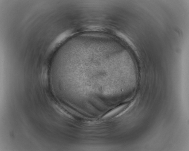 X0000113591403200910091449