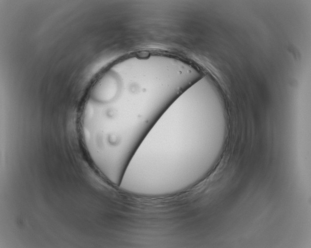 X0000113591404200910091449