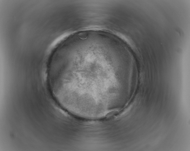 X0000113591406200910091449