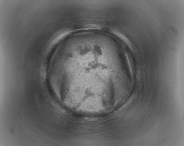 X0000113591407200910091449