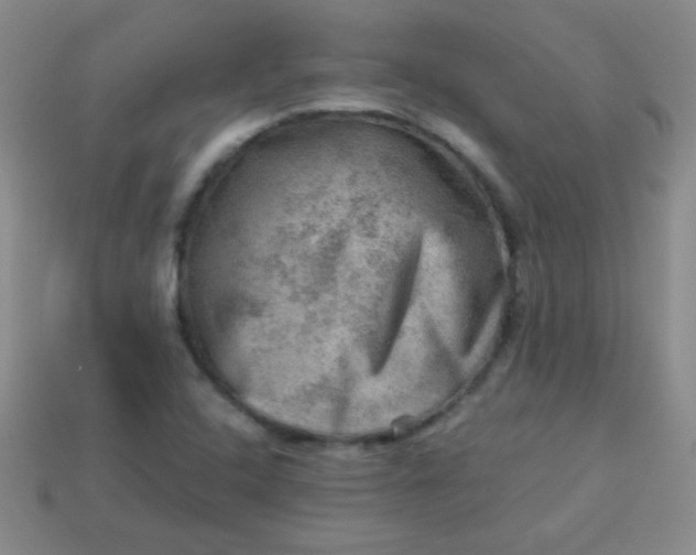 X0000113591408200910091449