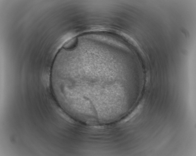 X0000113591409200910091450